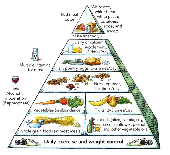 https://drimhotepmd.com/wp-content/uploads/2014/05/harvard_food_pyramid1.png